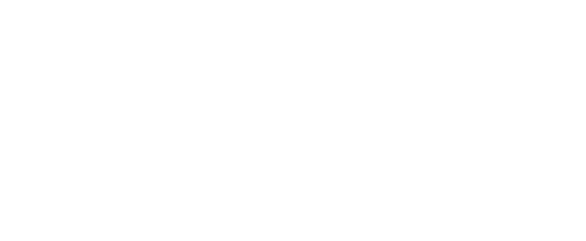 A24 logo on Dani Vitale's website