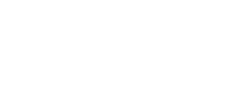 Disney logo on Dani Vitale's website
